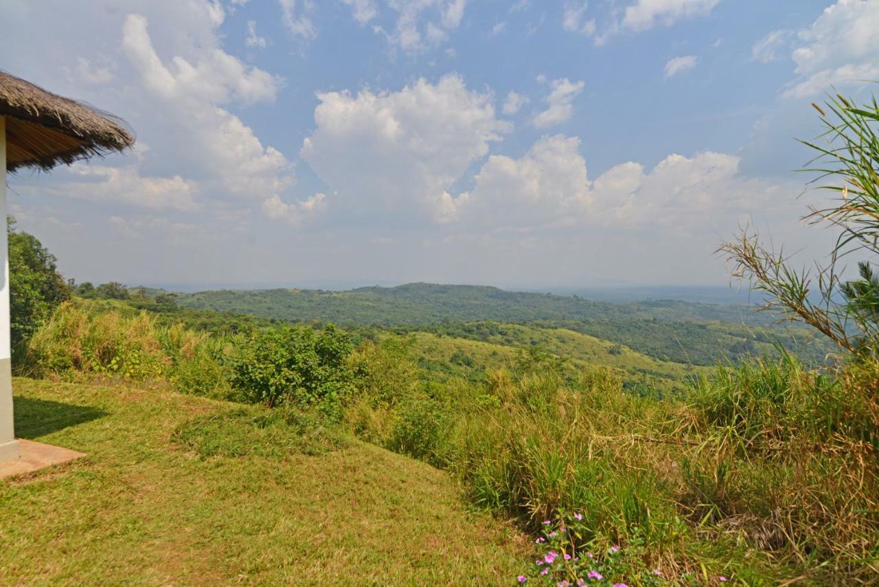 Isunga Lodge Kibale National Park Zewnętrze zdjęcie